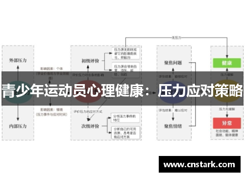 青少年运动员心理健康：压力应对策略